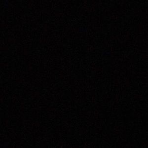 Meet your Posher, Cheyenne